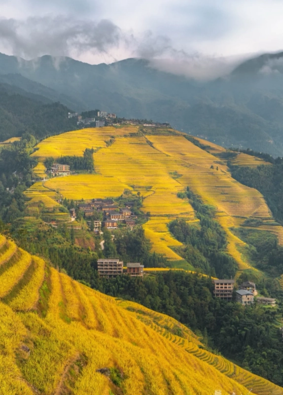 Travel photos of Guilin: best time to visit Longji