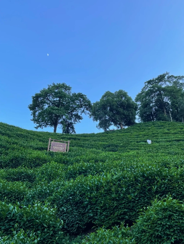 Hangzhou top attractions Hangzhou top attractions