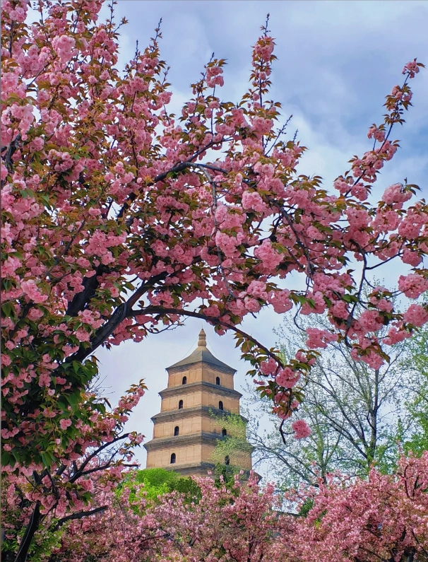 Xi'an weather Xi'an weather
