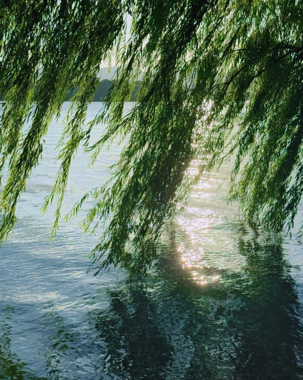 Hangzhou travel Hangzhou travel