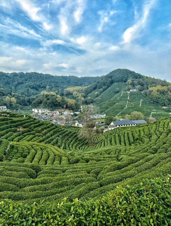 Hangzhou itinerary Hangzhou itinerary