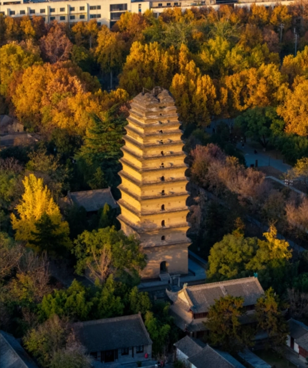 autumn in Xi'an autumn in Xi'an