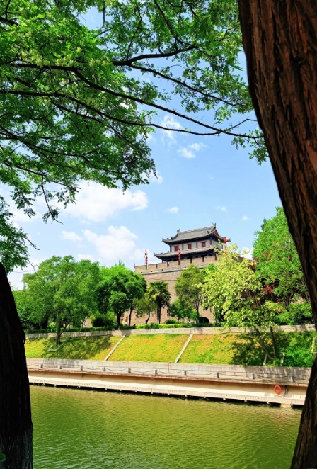 spring in Xi'an spring in Xi'an