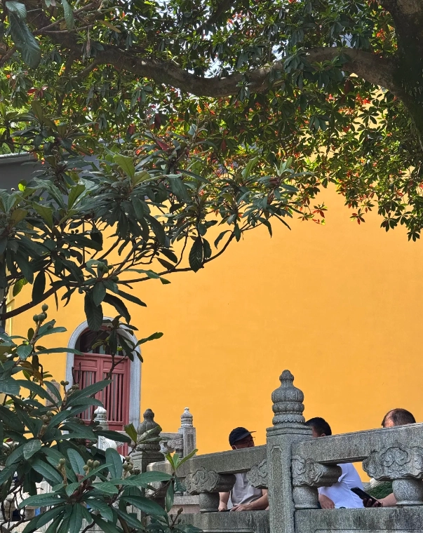 Feilai Feng Feilai Feng