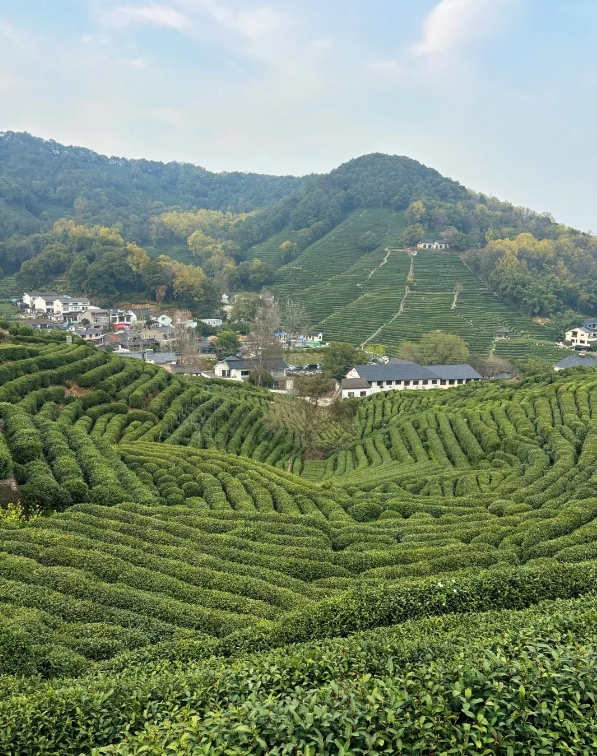 Travel photos of Hangzhou: West Lake tour