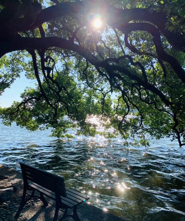 Hangzhou Must-Seе Attractions: A Local Guide to Beating the Crowds