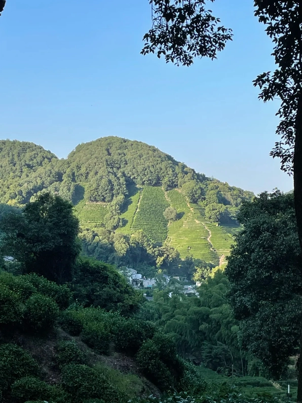 things to do in Hangzhou things to do in Hangzhou