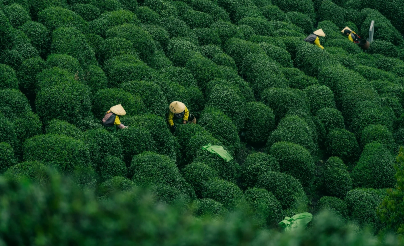 Hangzhou attractions
