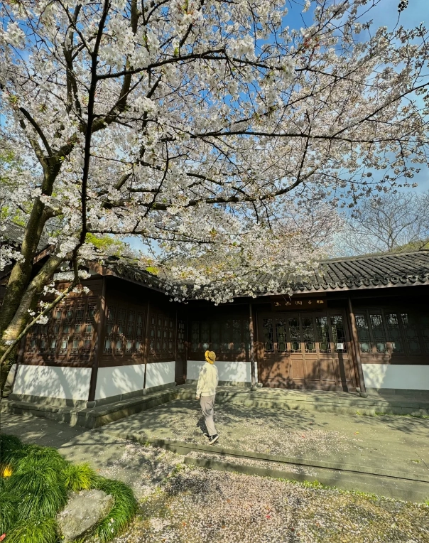 Hangzhou weather guide