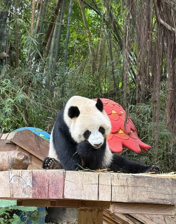 Chimelong Paradise