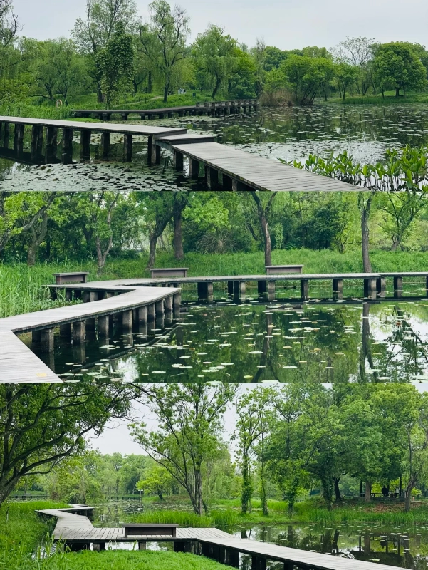3 days in Hangzhou
