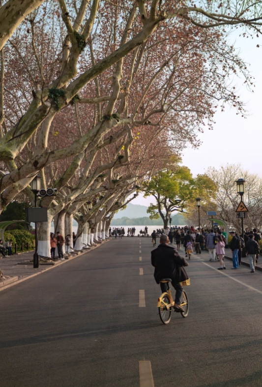 Hangzhou travel season