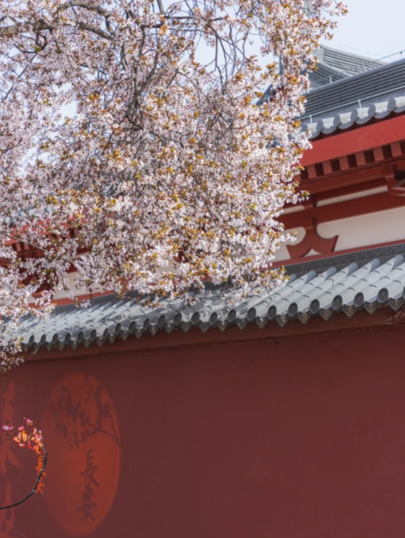 Xi'an Best Time to Visit: Beat Crowds & Extreme Weather