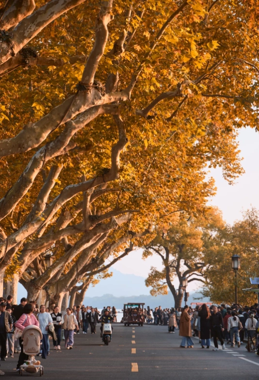 visiting Hangzhou tips