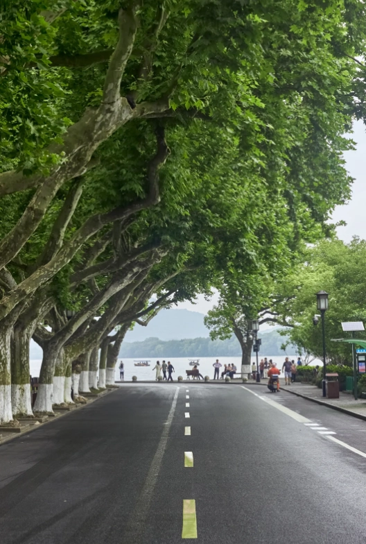 Hangzhou weather guide