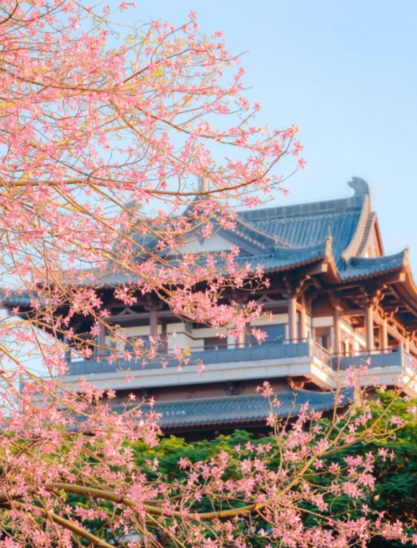 Guangzhou Best Time to Visit: Avoid the Rain & Heat for Your Perfect Trip