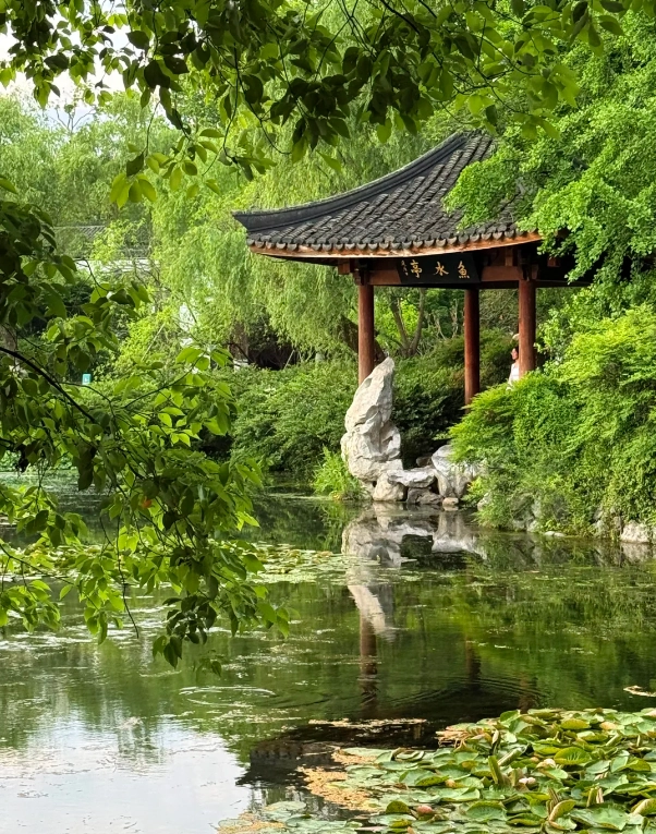 Shanghai Hangzhou day trip Shanghai Hangzhou day trip