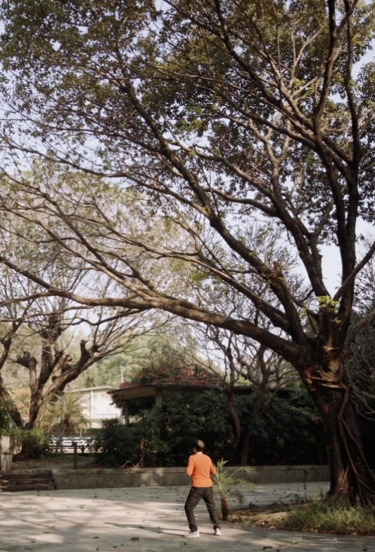 Shamian Island Shamian Island