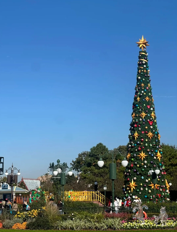 Disney app without Chinese number Disney app without Chinese number