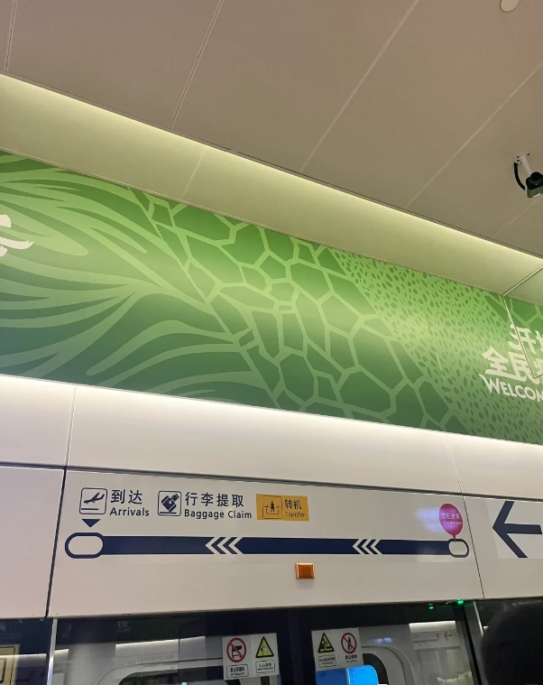 Shanghai Pudong Airport transfer