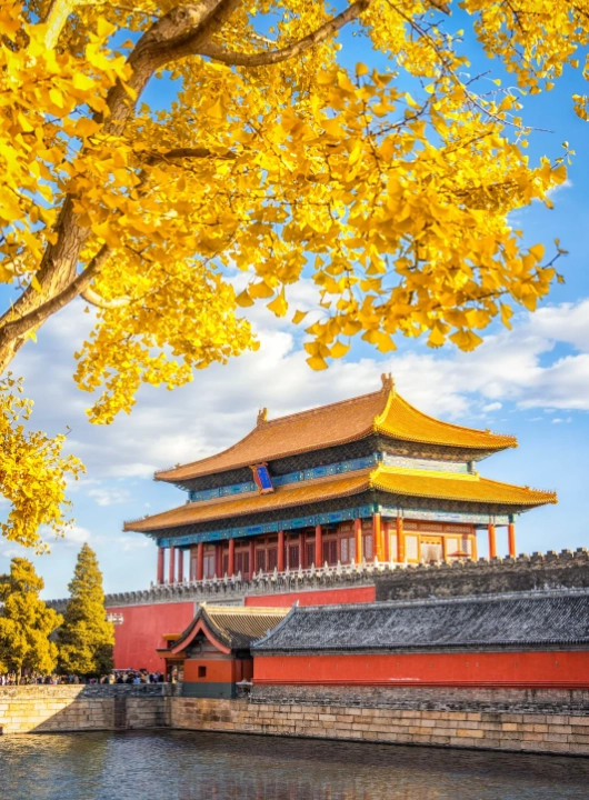 Forbidden City layover Forbidden City layover