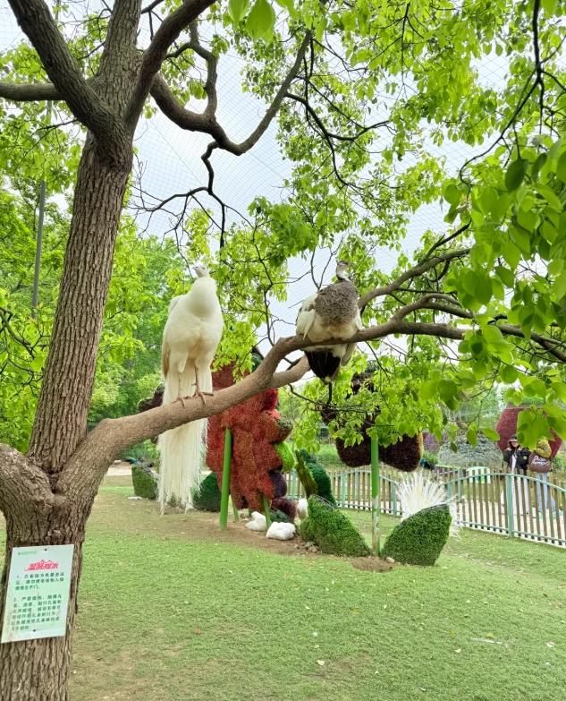 how to get to Dongping forest park