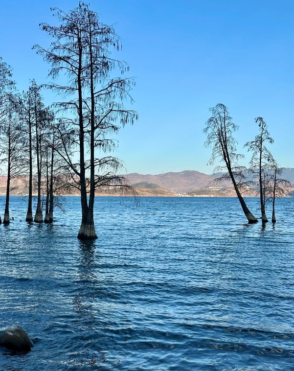 Yunnan lake tourism Yunnan lake tourism