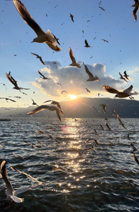 Dianchi Lake travel guide Dianchi Lake travel guide