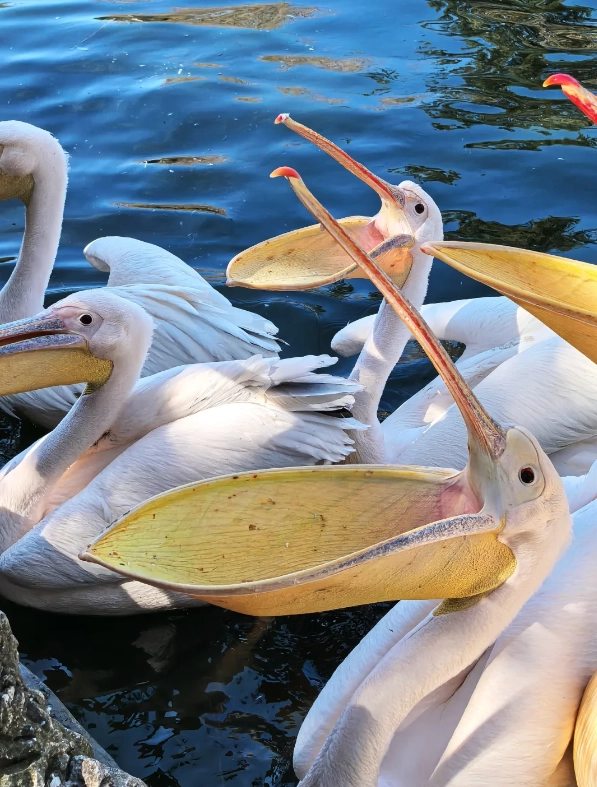 Travel photos of Kunming: wildlife park China