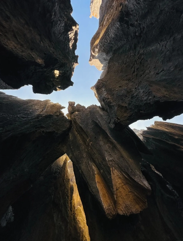 Photo of Stone Forest Scenic Area: Shilin Stone Forest