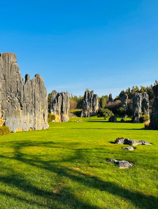 Photo of Stone Forest Scenic Area: Stone Forest travel tips