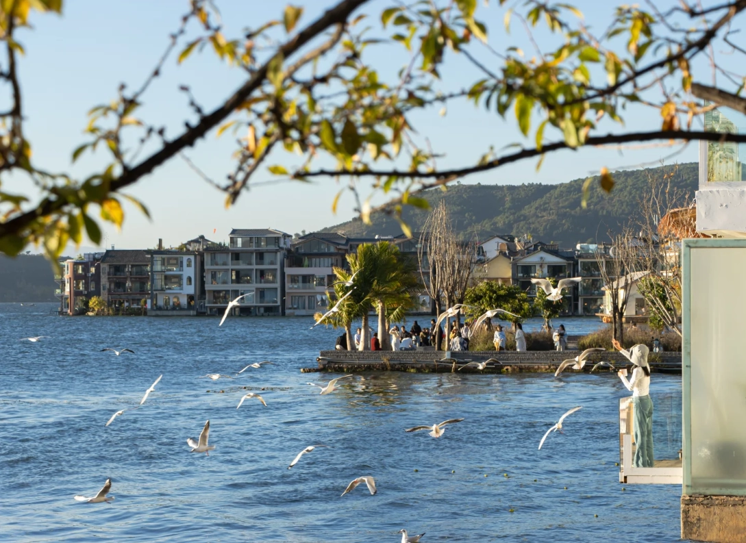 Photo of Shuanglang Ancient Town: Shuanglang itinerary