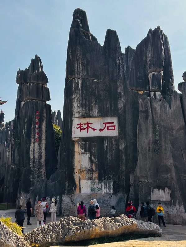 Photo of Stone Forest Scenic Area
