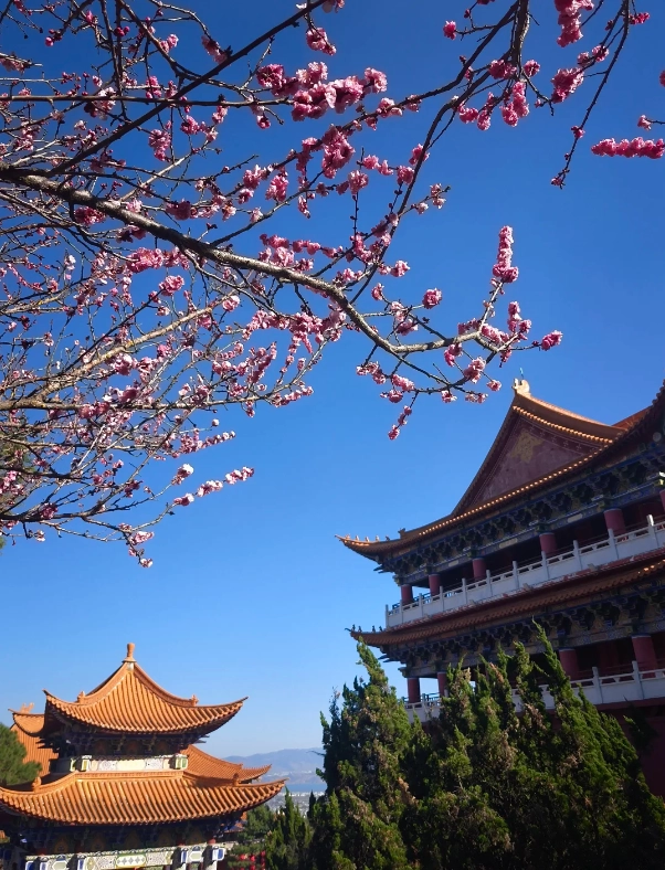 best time to visit Chongsheng Temple best time to visit Chongsheng Temple