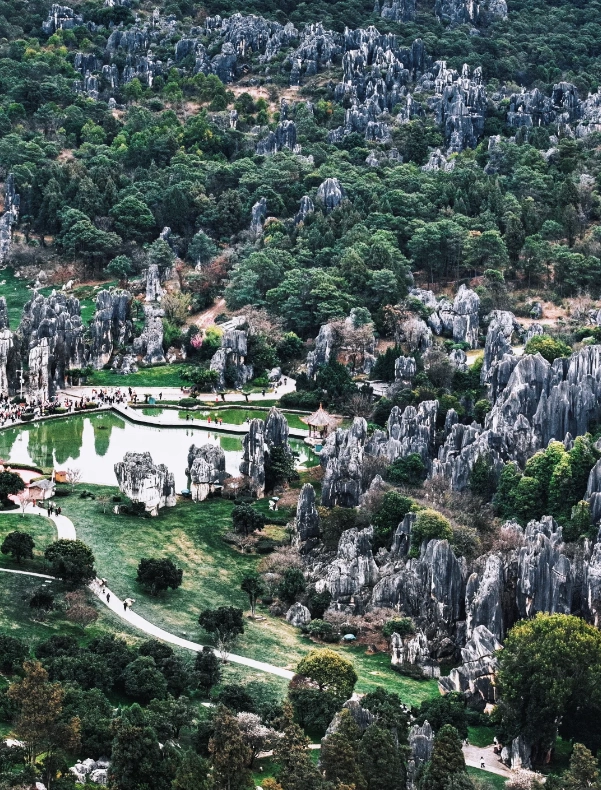 Photo of Stone Forest Scenic Area: Yunnan Stone Forest