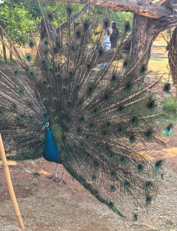 Travel photos of Kunming: wildlife park China