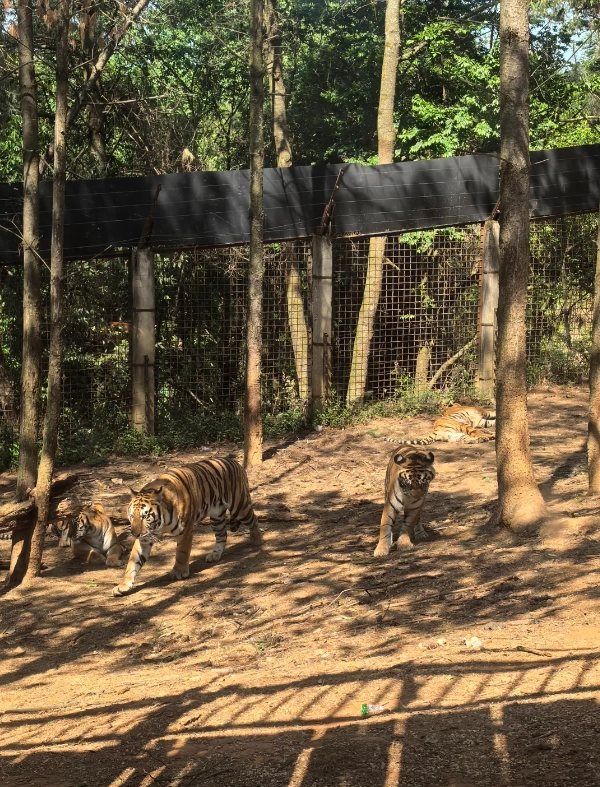 Yunnan Wildlife Park tickets Yunnan Wildlife Park tickets
