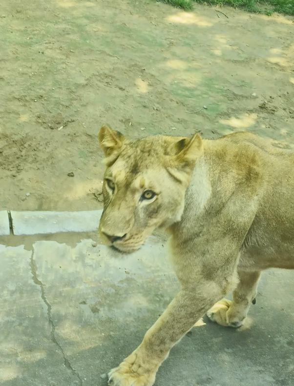 is Beijing Wildlife Park worth it is Beijing Wildlife Park worth it