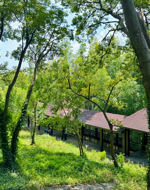 East Sheshan hiking East Sheshan hiking