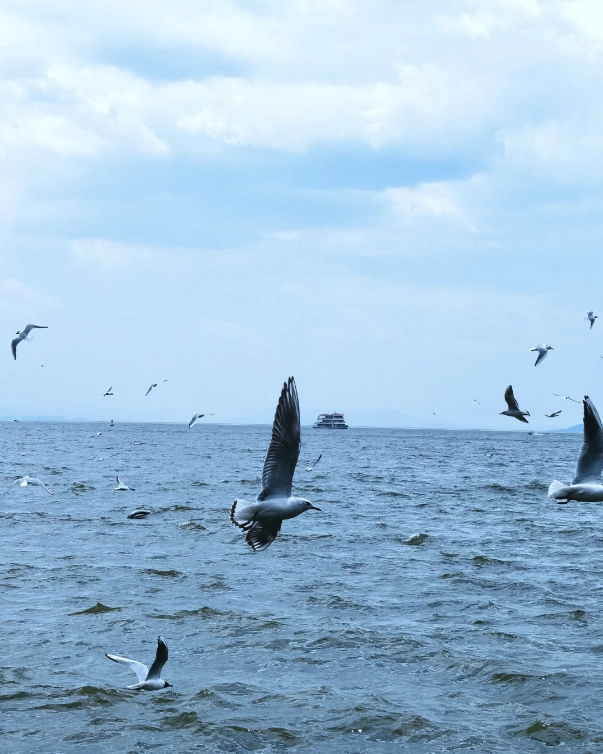 how to get to Dianchi Lake
