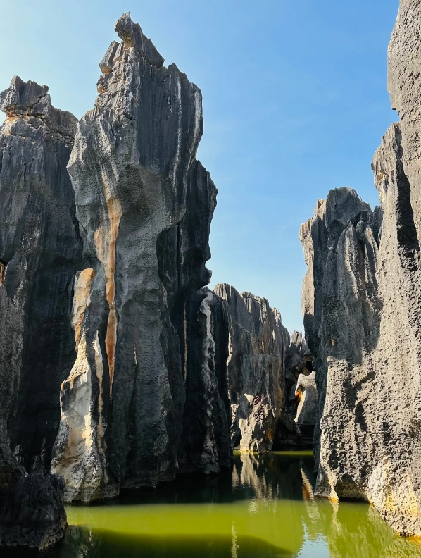 Photo of Stone Forest Scenic Area: Stone Forest tickets