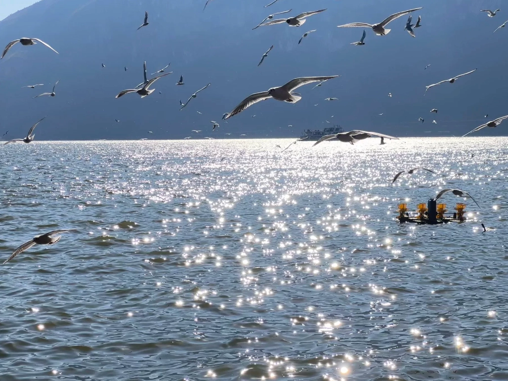 Dali Erhai Lake activities Dali Erhai Lake activities