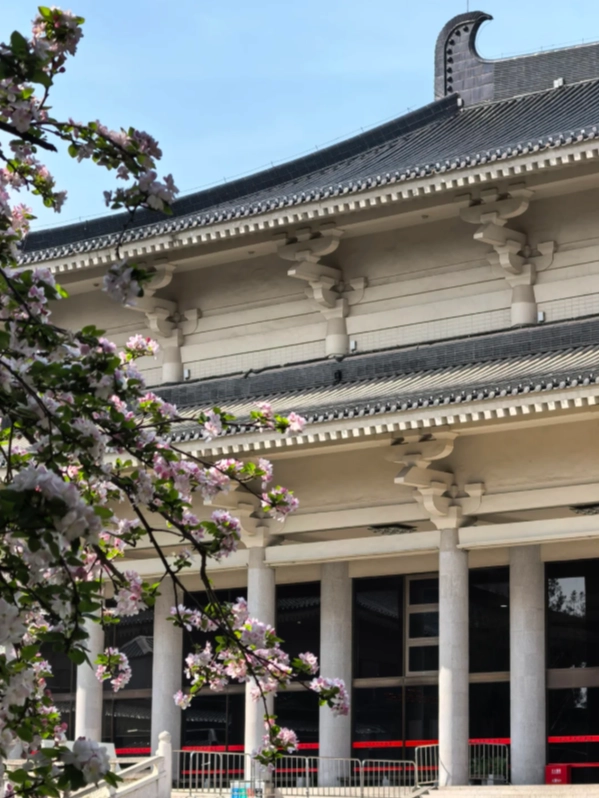 What to See at Shaanxi History Museum: Top Artifacts & Tips