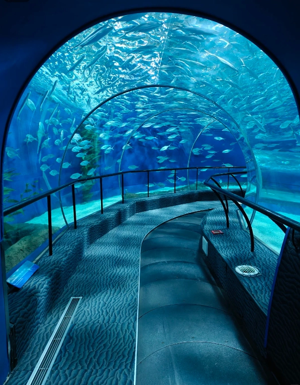 Shanghai aquarium tickets Shanghai aquarium tickets