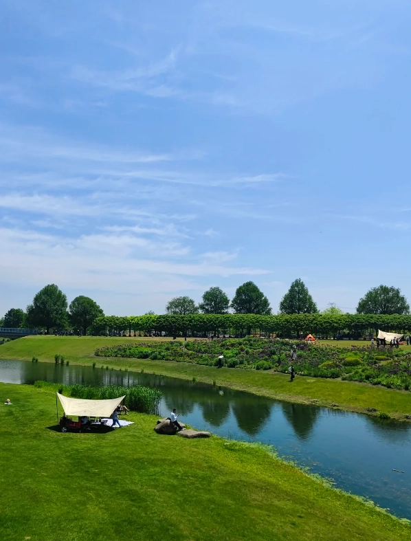 Shanghai forest tours Shanghai forest tours