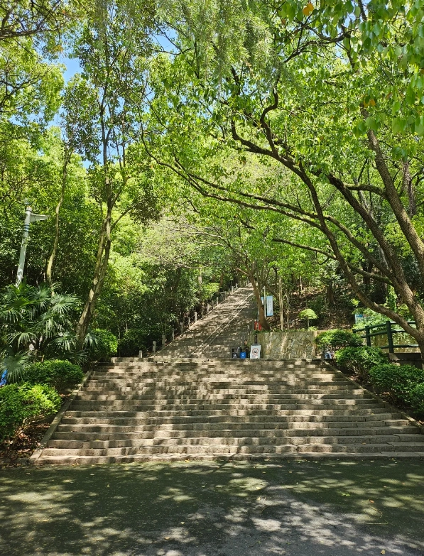 Sheshan National Forest Park Sheshan National Forest Park
