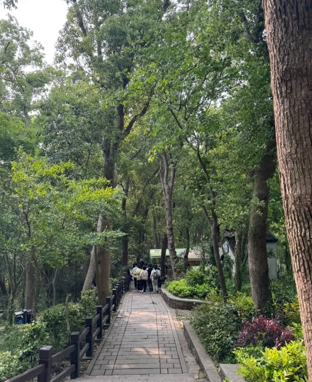 Songjiang attractions Songjiang attractions