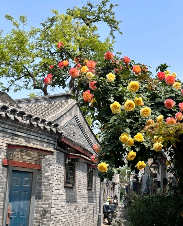 Beijing sightseeing Beijing sightseeing