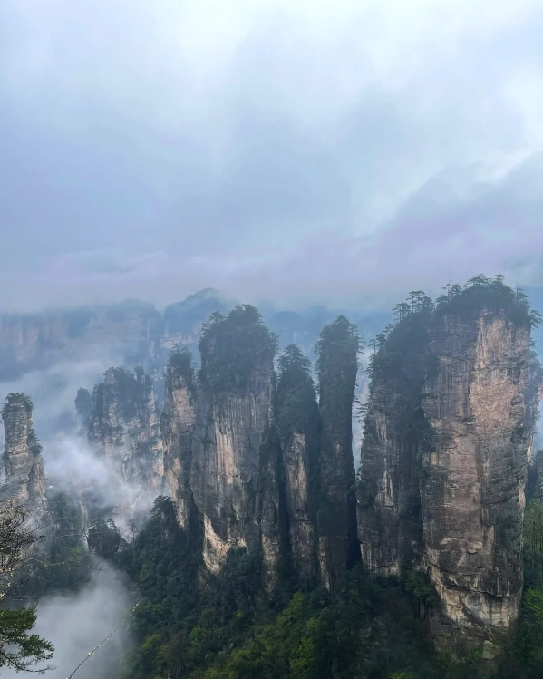 Avatar Hallelujah Mountain Avatar Hallelujah Mountain