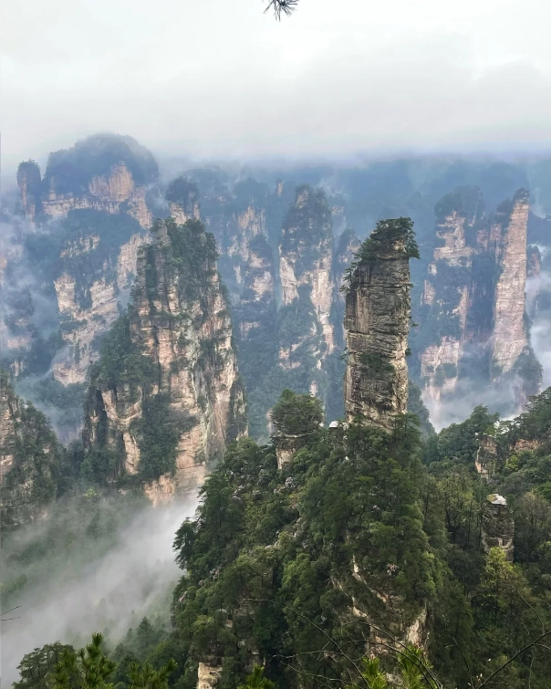 Zhangjiajie Must-Visit Places: A Local Guide's Top Picks & Hidden Gems